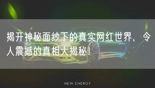 揭开神秘面纱下的真实网红世界，令人震撼的真相大揭秘！