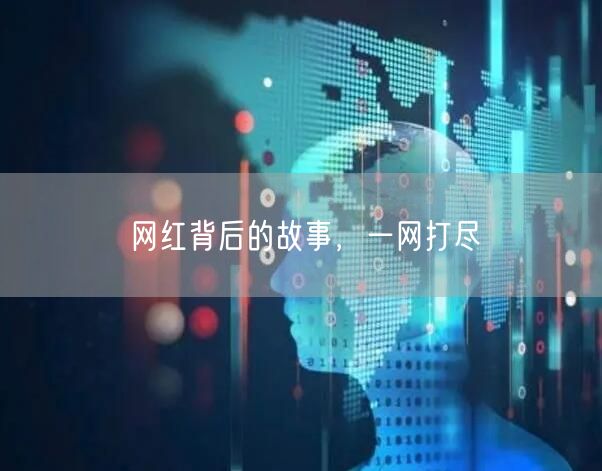 网红背后的故事，一网打尽