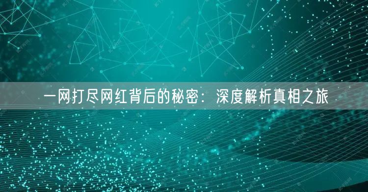 一网打尽网红背后的秘密：深度解析真相之旅