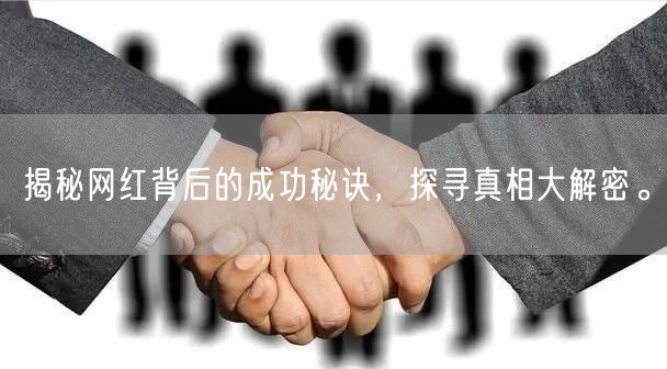 揭秘网红背后的成功秘诀，探寻真相大解密。