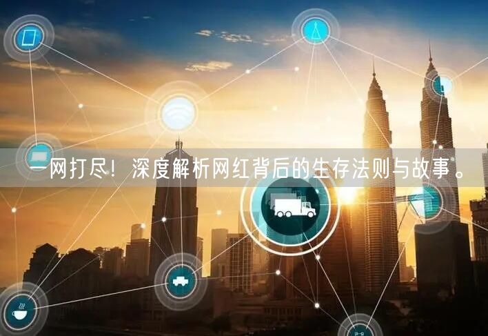 一网打尽！深度解析网红背后的生存法则与故事。