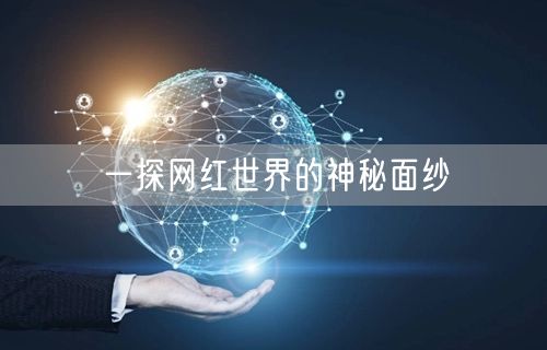 一探网红世界的神秘面纱