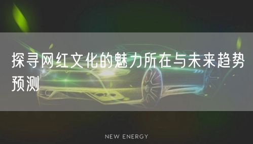 探寻网红文化的魅力所在与未来趋势预测