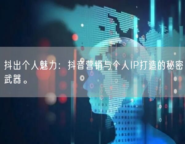 抖出个人魅力：抖音营销与个人IP打造的秘密武器。