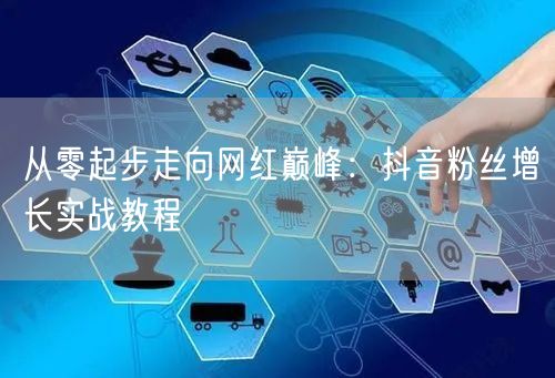 从零起步走向网红巅峰：抖音粉丝增长实战教程