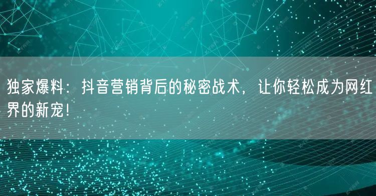 独家爆料：抖音营销背后的秘密战术，让你轻松成为网红界的新宠！