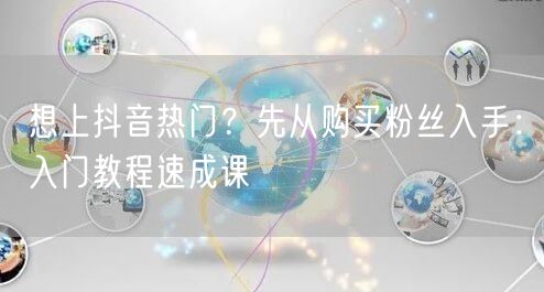 想上抖音热门？先从购买粉丝入手：入门教程速成课