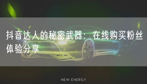 抖音达人的秘密武器：在线购买粉丝体验分享
