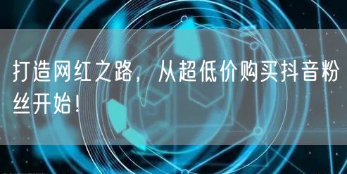 打造网红之路，从超低价购买抖音粉丝开始！