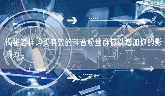 揭秘怎样购买有效的抖音粉丝群体以增加你的影响力。