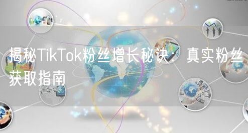 揭秘TikTok粉丝增长秘诀：真实粉丝获取指南
