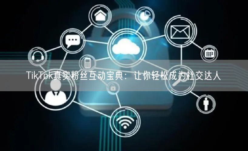 TikTok真实粉丝互动宝典：让你轻松成为社交达人