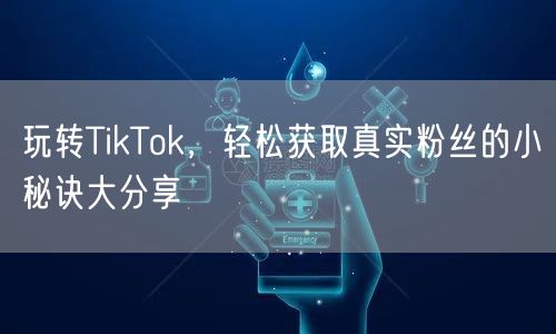 玩转TikTok，轻松获取真实粉丝的小秘诀大分享