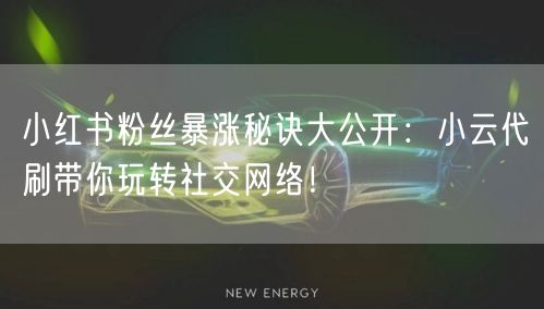 小红书粉丝暴涨秘诀大公开：小云代刷带你玩转社交网络！